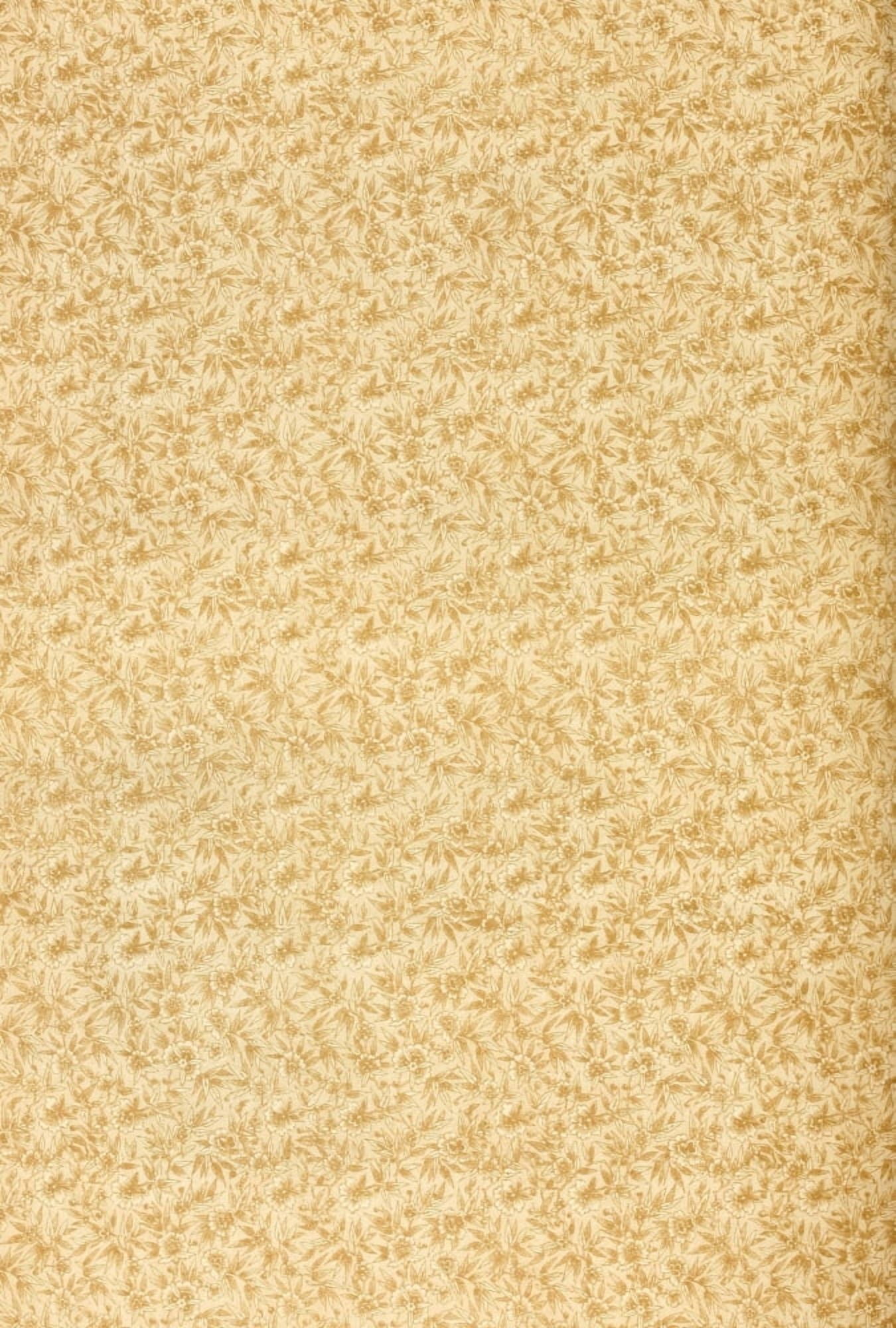 Endpaper The Land of the Pharoahs 1887 Canvas Art - (18 x 24)