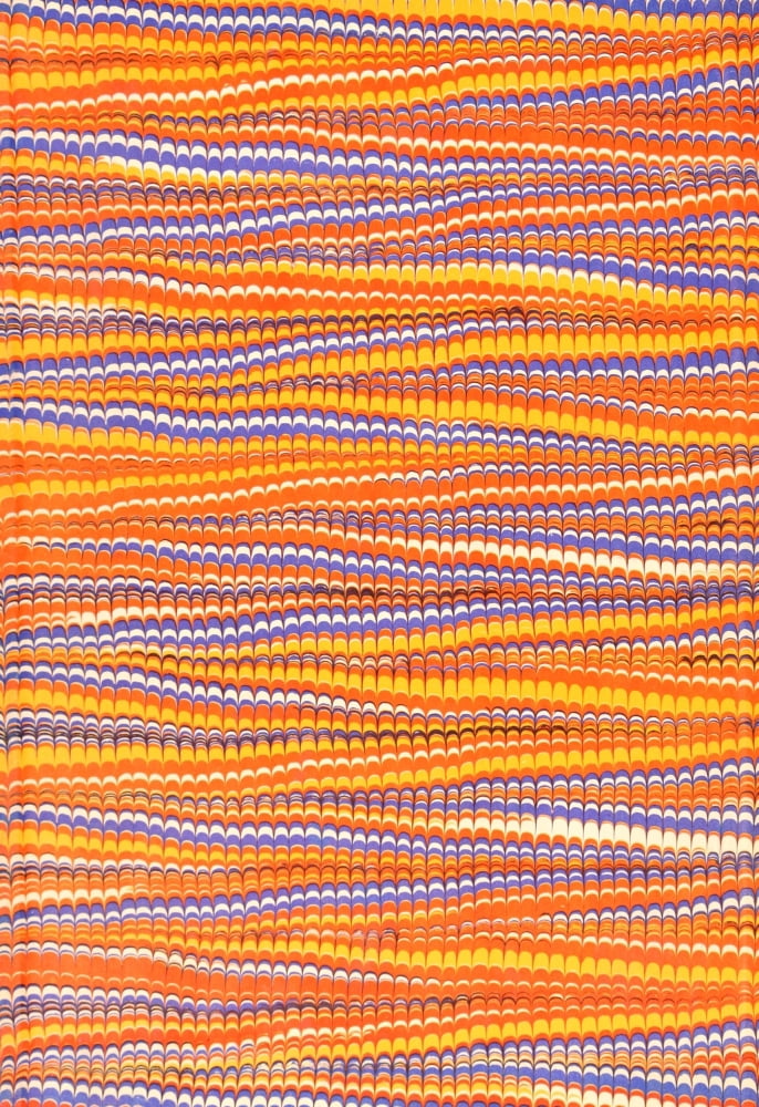 Endpaper The Natural History of Madagascar 1885 Feathered Zig-zag Canvas Art -  (24 x 36)