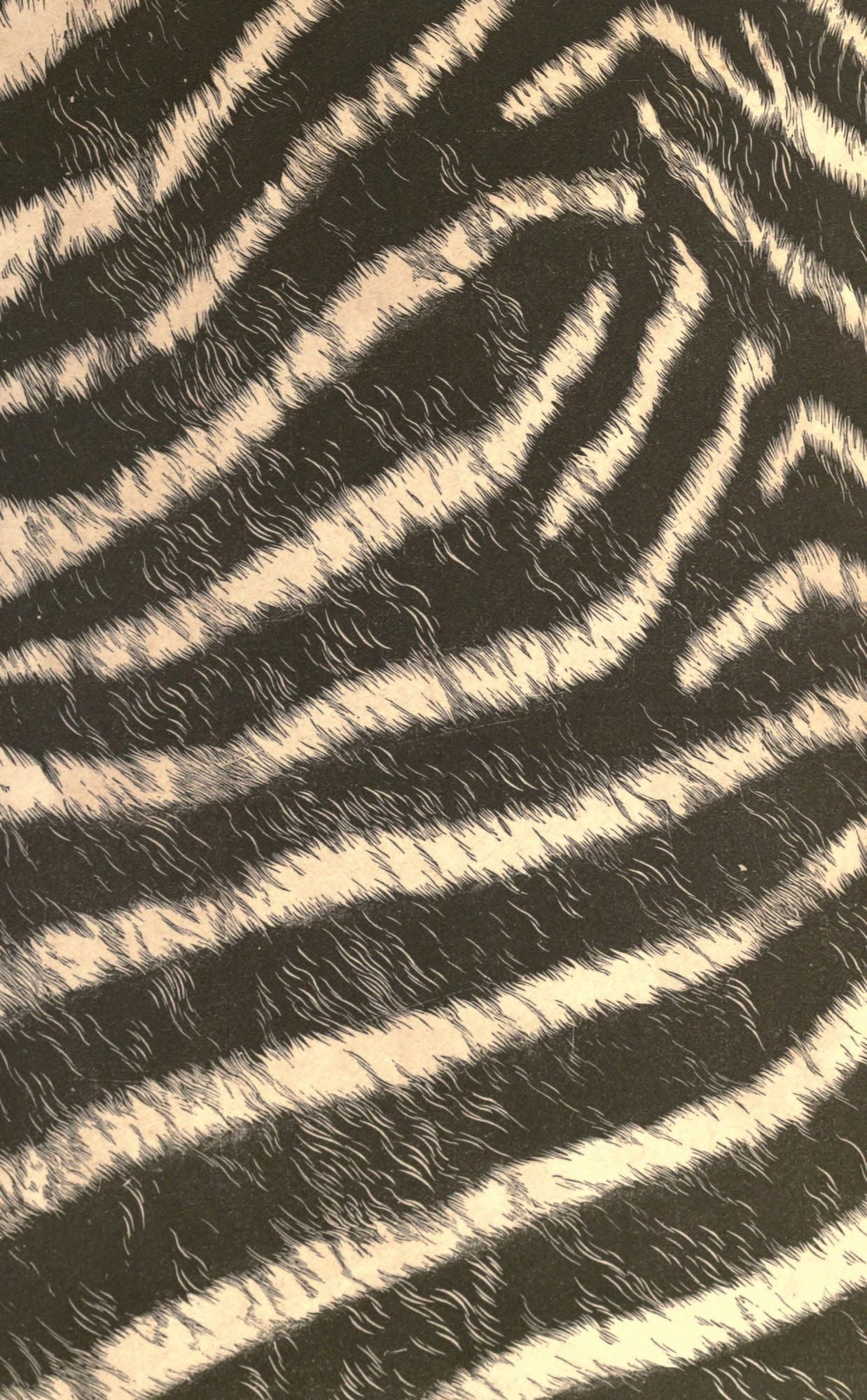 Endpaper The game animals of Africa 1908 Zebra print 1 Canvas Art -  (24 x 36)