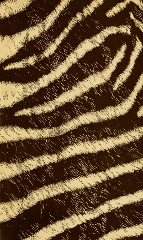 Endpaper The game animals of Africa 1908 Zebra print 2 Canvas Art - (18 x 24)