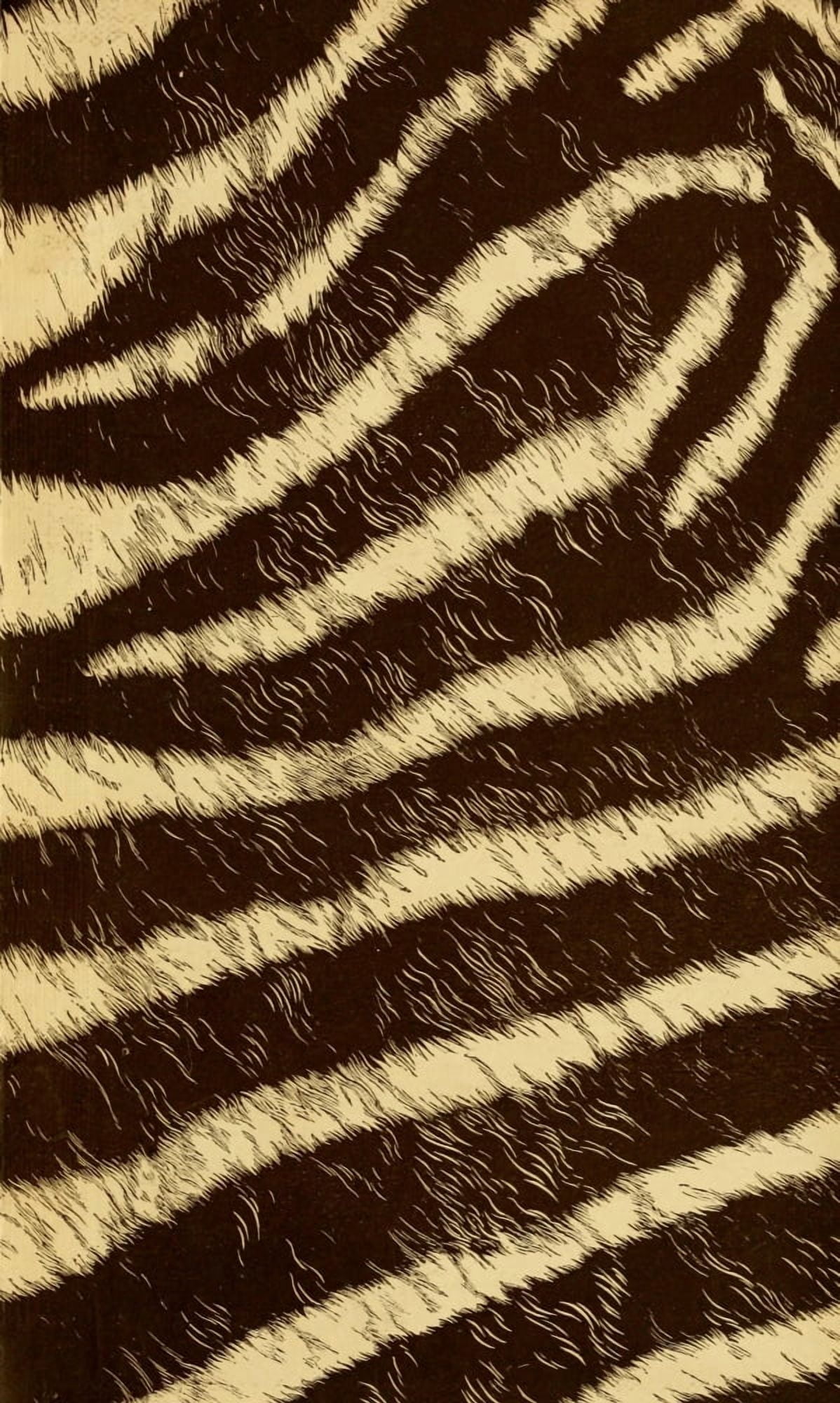Endpaper The game animals of Africa 1908 Zebra print 2 Canvas Art - (24 x 36)
