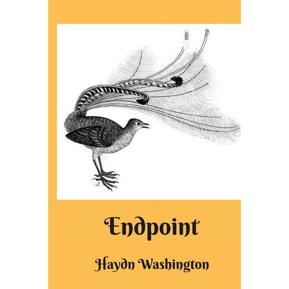 Endpoint, (Paperback)