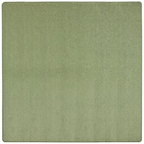 Endurance 6' x 6' Area Rug in color Sage