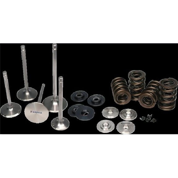 Endurance Dual Spring Kit for Subaru WRX STI
