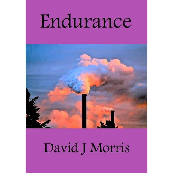 Endurance, (Paperback)