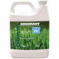 thumbnail image 1 of Endurant Perennial Rye Light green grass lawn colorant, 1 of 4