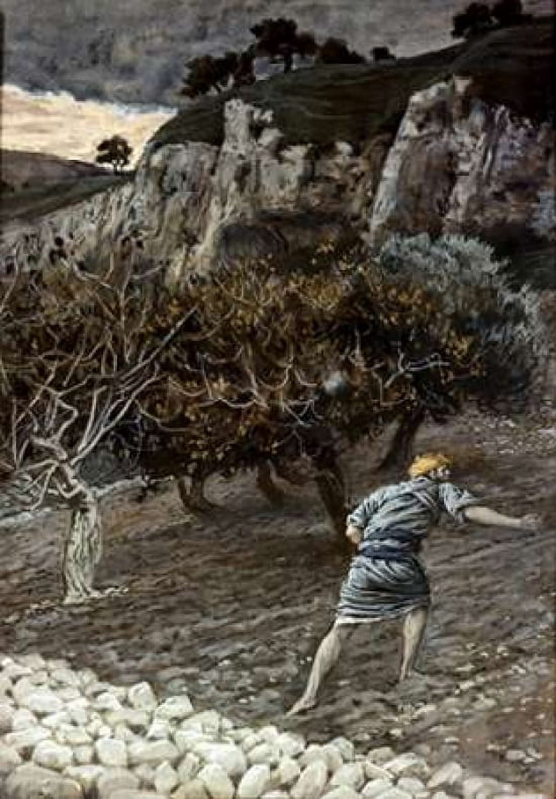 Enemy Sowing Tares Canvas Art - James Jacques Tissot (20 x 28)
