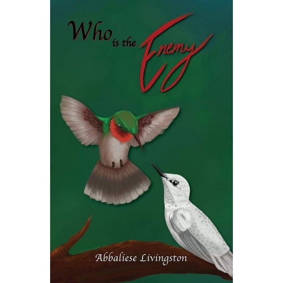 Enemy Who is the Enemy, Book 1, (Paperback)