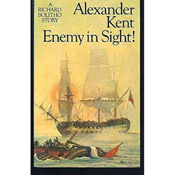 Pre-Owned Enemy in Sight (Mass Market Paperback) 0515076163 9780515076165