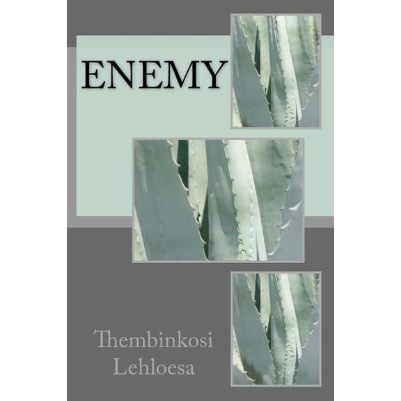Enemy