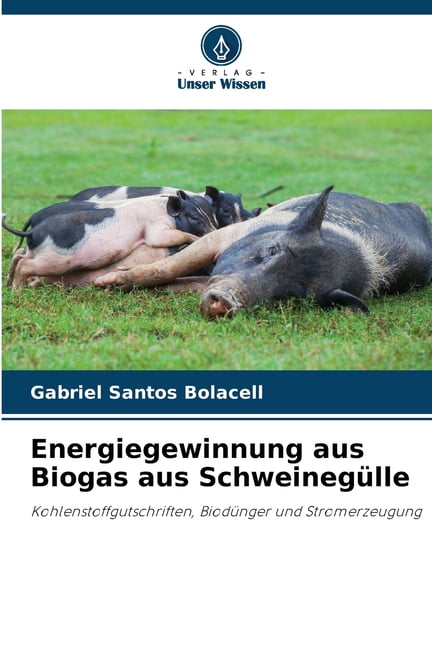 Energiegewinnung aus Biogas aus Schweinegülle, (Paperback)