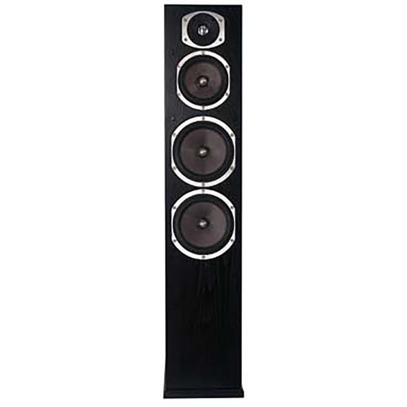Energy Reference Connoisseur RC-70 Dual 6.5" 250W Floorstanding Speaker, Black