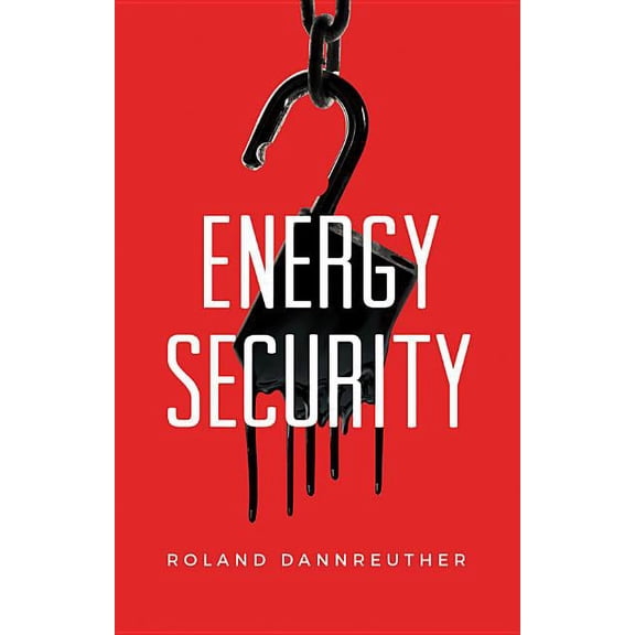 Energy Security (Hardcover)
