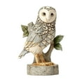thumbnail image 1 of Enesco Jim Shore Heartwood Creek White Woodland Owl On Branch Stone Resin Figurine, 4.49", Grey, 1 of 2