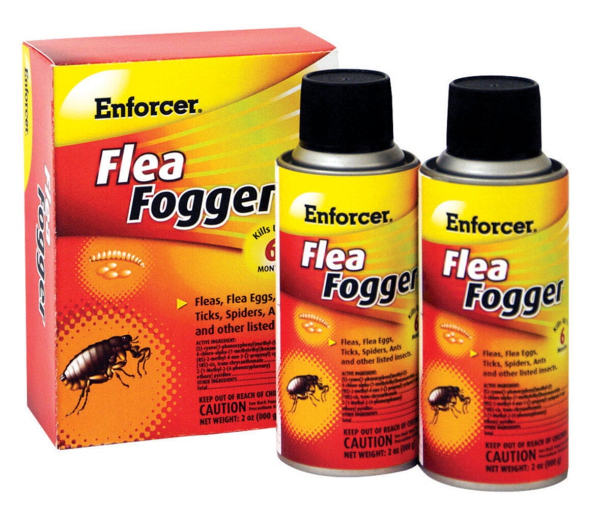 Best flea fogger uk online