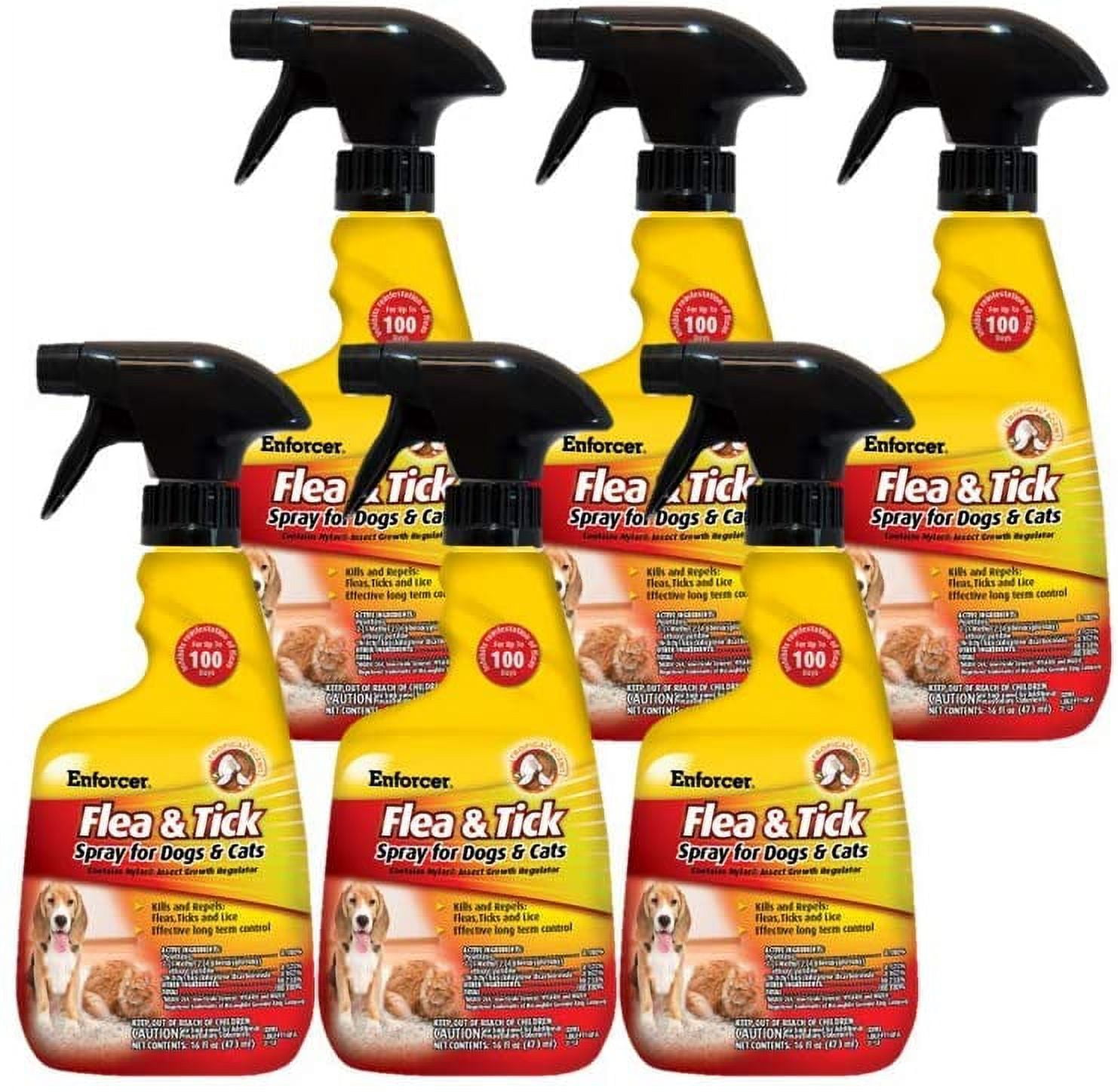 Enforcer flea best sale spray