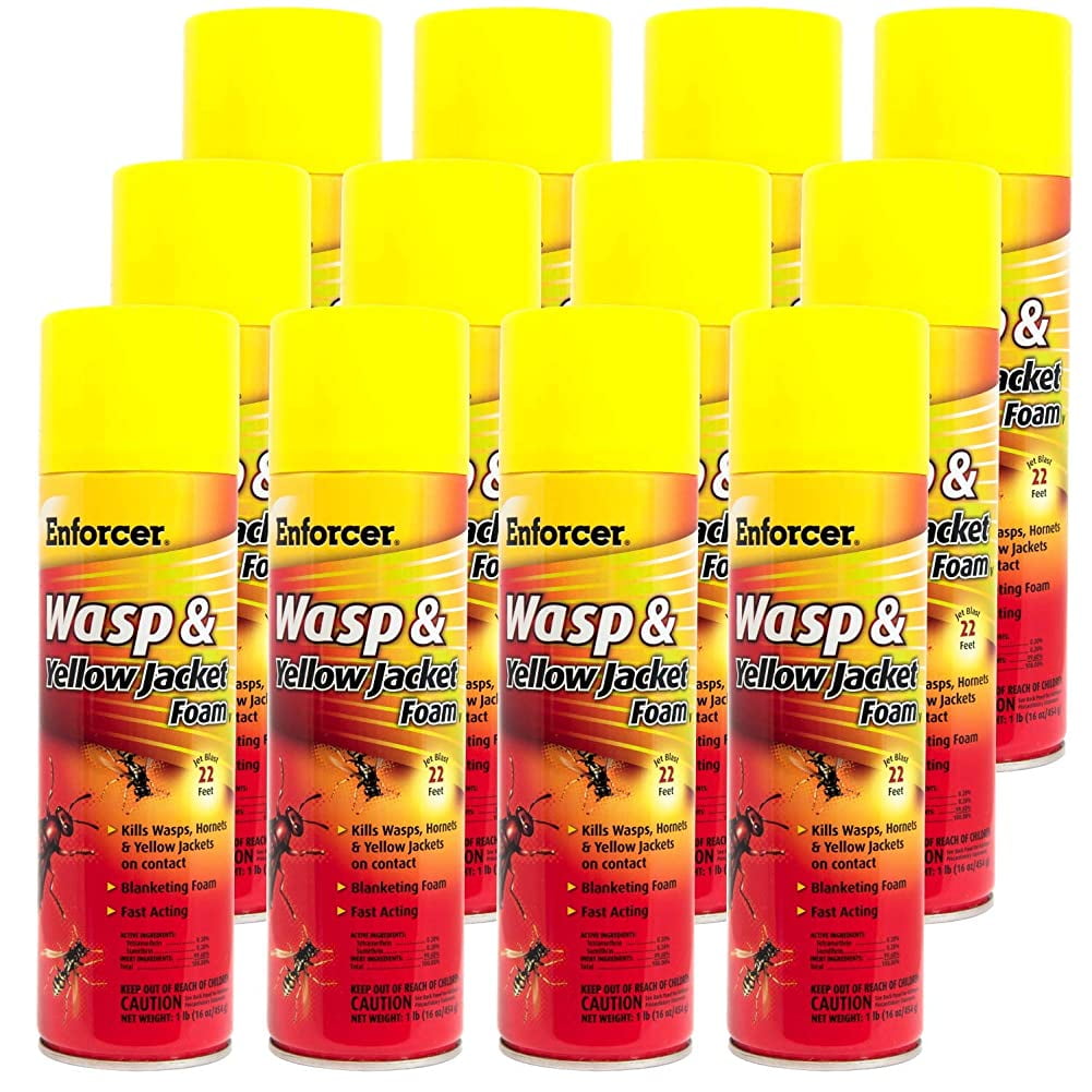 Enforcer Killer Spray, Wasp and Yellow Jacket Foam, 16 Oz, Long