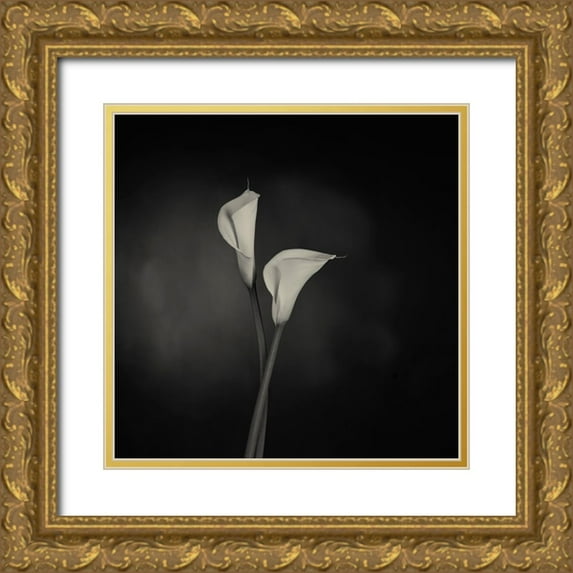 Engelbos, Mieke 12x12 Gold Ornate Wood Framed with Double Matting Museum Art Print Titled - Simplicity