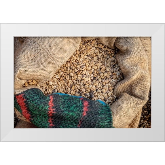 Engelbrecht, Jim 14x11 White Modern Wood Framed Museum Art Print Titled - Kauai Coffee beans drying-Kauai-Hawaii-USA