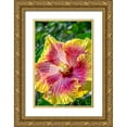 thumbnail image 1 of Engelbrecht, Jim 17x24 Gold Ornate Wood Framed with Double Matting Museum Art Print Titled - Hibiscus flower, 1 of 4