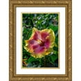 thumbnail image 1 of Engelbrecht, Jim 17x24 Gold Ornate Wood Framed with Double Matting Museum Art Print Titled - Hibiscus flower, 1 of 4