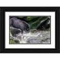 thumbnail image 1 of Engelbrecht, Jim 18x13 Black Ornate Wood Framed with Double Matting Museum Art Print Titled - Black Bear-Salmon run-Anan Creek-Wrangell-Alaska-USA, 1 of 4