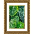 thumbnail image 1 of Engelbrecht, Jim 23x32 Gold Ornate Wood Framed with Double Matting Museum Art Print Titled - Anthurium foliage, 1 of 4