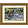 thumbnail image 1 of Engelbrecht, Jim 24x17 Gold Ornate Wood Framed with Double Matting Museum Art Print Titled - Grizzly Bear-salmon run-Anan Creek-Wrangell-Alaska-USA, 1 of 4
