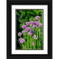 thumbnail image 1 of Engelbrecht, Lisa S. 11x14 Black Ornate Wood Framed with Double Matting Museum Art Print Titled - Chives, 1 of 4