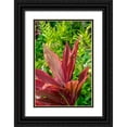 thumbnail image 1 of Engelbrecht, Lisa S. 11x14 Black Ornate Wood Framed with Double Matting Museum Art Print Titled - Cordyline fruticosa-Ti plant, 1 of 4
