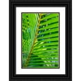 thumbnail image 1 of Engelbrecht, Lisa S. 11x14 Black Ornate Wood Framed with Double Matting Museum Art Print Titled - Palm frond, 1 of 4