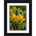 thumbnail image 1 of Engelbrecht, Lisa S. 11x14 Black Ornate Wood Framed with Double Matting Museum Art Print Titled - Yellow Angels Trumpet, 1 of 4