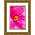 thumbnail image 1 of Engelbrecht, Lisa S. 11x14 Gold Ornate Wood Framed with Double Matting Museum Art Print Titled - Pink Begonia, 1 of 4