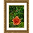 thumbnail image 1 of Engelbrecht, Lisa S. 13x18 Gold Ornate Wood Framed with Double Matting Museum Art Print Titled - Double bloom-Orange Hibiscus, 1 of 4