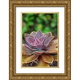 thumbnail image 1 of Engelbrecht, Lisa S. 13x18 Gold Ornate Wood Framed with Double Matting Museum Art Print Titled - Ghost plant-succulent, 1 of 4