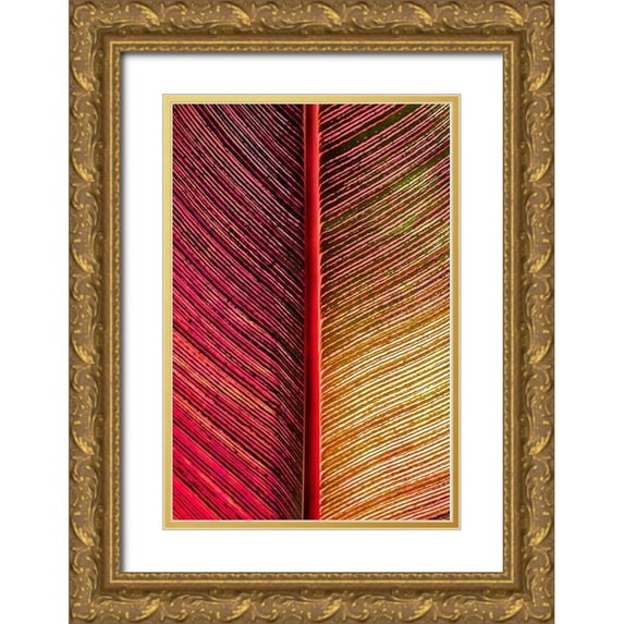 Engelbrecht, Lisa S. 13x18 Gold Ornate Wood Framed with Double Matting Museum Art Print Titled - Tropical Vibes