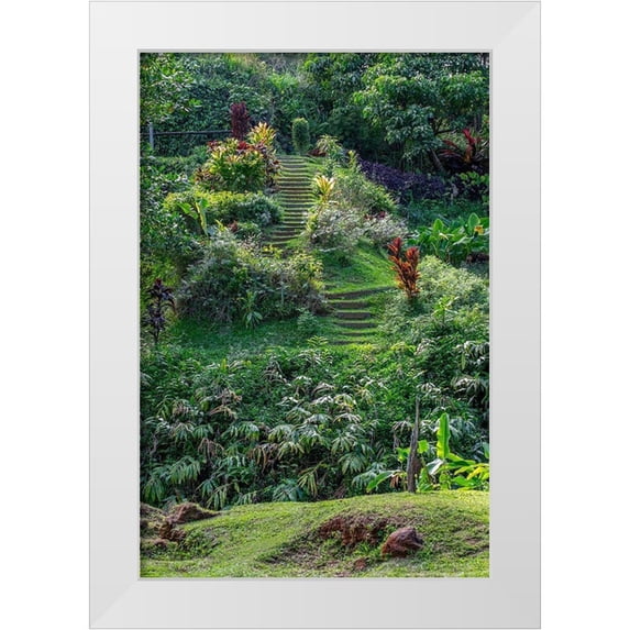 Engelbrecht, Lisa S. 13x18 White Modern Wood Framed Museum Art Print Titled - Princeville Botanical Garden-Princeville-Kauai-Hawaii