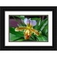 thumbnail image 1 of Engelbrecht, Lisa S. 14x11 Black Ornate Wood Framed with Double Matting Museum Art Print Titled - Venus Slipper Orchid, 1 of 4
