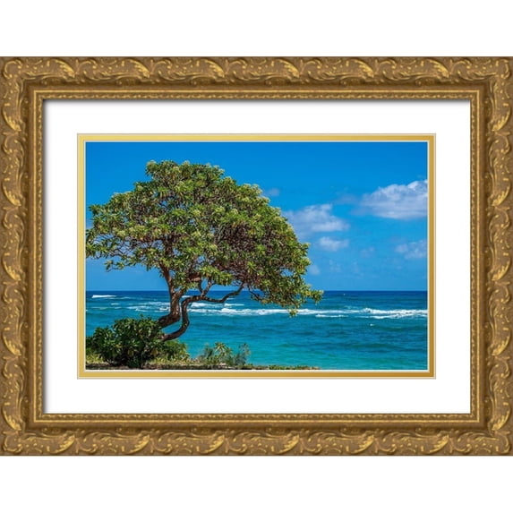 Engelbrecht, Lisa S. 14x11 Gold Ornate Wood Framed with Double Matting Museum Art Print Titled - Tree overlooking Poipu Bay-Kauai-Hawaii-USA