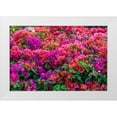 thumbnail image 1 of Engelbrecht, Lisa S. 14x11 White Modern Wood Framed Museum Art Print Titled - Bougainvillea in tropical garden, 1 of 4