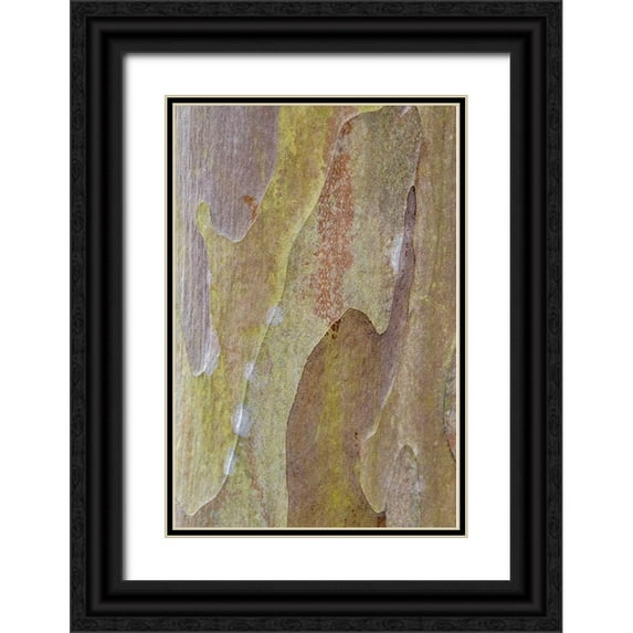 Engelbrecht, Lisa S. 17x24 Black Ornate Wood Framed with Double Matting Museum Art Print Titled - Bark of Crape Myrtle tree