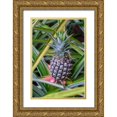 thumbnail image 1 of Engelbrecht, Lisa S. 17x24 Gold Ornate Wood Framed with Double Matting Museum Art Print Titled - Pineapple plant, 1 of 4
