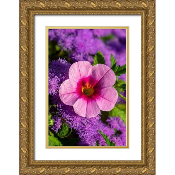 Engelbrecht, Lisa S. 17x24 Gold Ornate Wood Framed with Double Matting Museum Art Print Titled - Pink Petunia and purple Bluemink