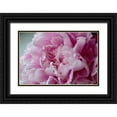 thumbnail image 1 of Engelbrecht, Lisa S. 18x13 Black Ornate Wood Framed with Double Matting Museum Art Print Titled - Pink Peony, 1 of 4