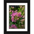 thumbnail image 1 of Engelbrecht, Lisa S. 23x32 Black Ornate Wood Framed with Double Matting Museum Art Print Titled - Bougainvillea, 1 of 4