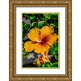 thumbnail image 1 of Engelbrecht, Lisa S. 23x32 Gold Ornate Wood Framed with Double Matting Museum Art Print Titled - Orange Hibiscus, 1 of 4