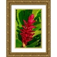 thumbnail image 1 of Engelbrecht, Lisa S. 23x32 Gold Ornate Wood Framed with Double Matting Museum Art Print Titled - Red Ginger plant, 1 of 4