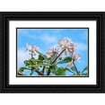 thumbnail image 1 of Engelbrecht, Lisa S. 32x23 Black Ornate Wood Framed with Double Matting Museum Art Print Titled - Plumeria, 1 of 4