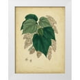 thumbnail image 1 of Engelmann  12x14 White Modern Wood Framed Museum Art Print Titled - Custom Engelmann Botanical VII (GC), 1 of 4