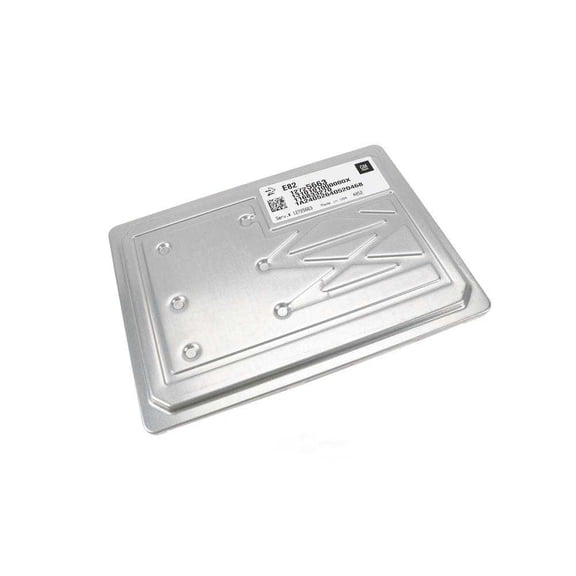 GM Genuine Parts 12725663 Engine Control Module (ECM)